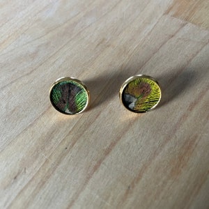 Natural feather earrings