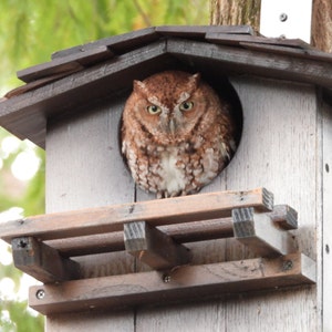 Ranch style Owl nesting home for:  Horned Owl, Burrowing Owl, Screech Owl, Barred Owl, Owl, Nesting Box, bird nesting, Raptors, Owls, Farm