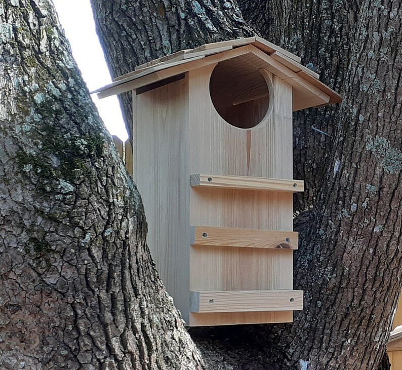 Large Owl houses for Horned Owl Burrowing Owl Screech Owl Etsy