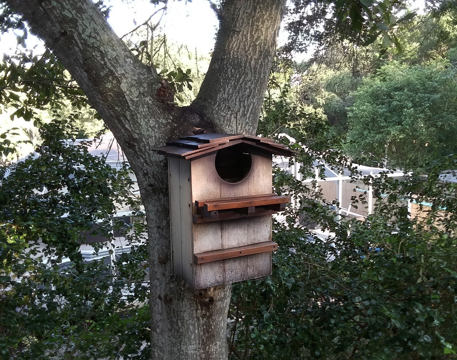 Extra Large Owl houses for Horned Owl Burrowing Owl Etsy