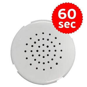 Voice recorder sale for stuffed animals