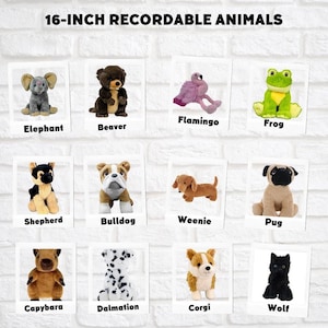 16-inch recordable stuffed animals, including an elephant, a beaver, a flamingo, a frog, a dog, a cat, a shepherd, a bulldog, a weenie, a pug, a wolf, a corgi, and a capybara.