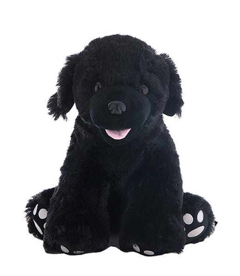 A black stuffed dog toy with white paw prints on its feet.