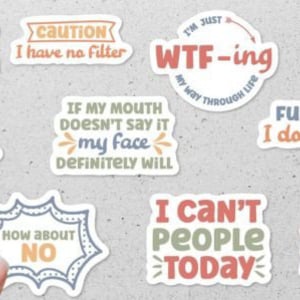 FUNNY 10 Piece Waterproof STICKER PACK for Laptops, Water Bottles, Notebooks, Journals and more