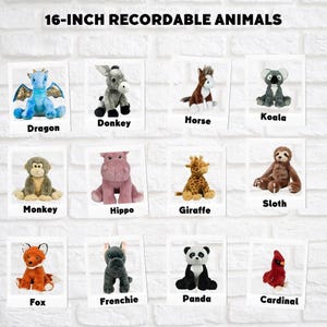16-inch recordable animals
