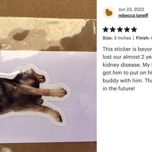 Photo Sticker for Pets - Waterproof, Personalized Vinyl Decal image 10