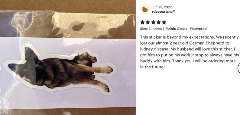 Photo Sticker for Pets - Waterproof, Personalized Vinyl Decal image 10