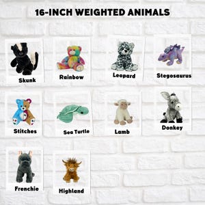 May include: A collection of 16-inch weighted plush animals, including a skunk, rainbow bear, leopard, stegosaurus, stitches, sea turtle, donkey, lamb, frenchie, and highland cow.