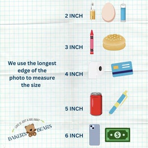 The image is a collage of various objects, including a 2-inch object, a 3-inch object, a 4-inch object, a 5-inch object, a 6-inch object, a pen, a can, a hamburger, a pencil, a crayon, a dollar bill, and a teddy bear. The objects are arranged in a grid-like pattern, and the image uses the longest edge of the photo to measure the size of the objects.