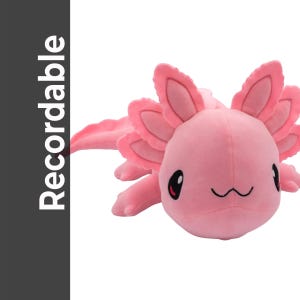 A pink plush toy of an axolotl, a type of salamander, is shown against a white background.