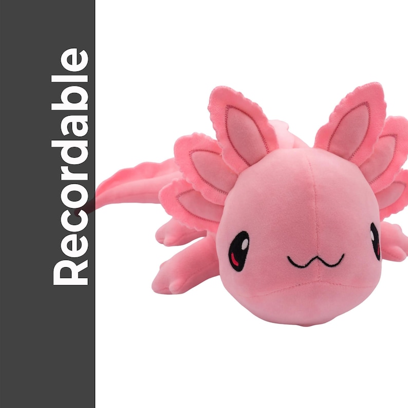 A pink plush toy of an axolotl, a type of salamander, is shown against a white background.