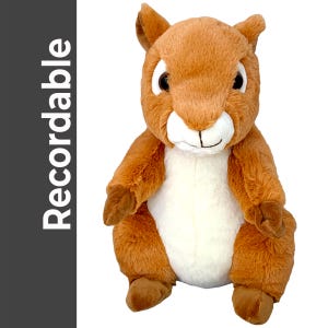 Recordable SQUIRREL Stuffed Animal  —  Personalized Gift —  Eco Friendly