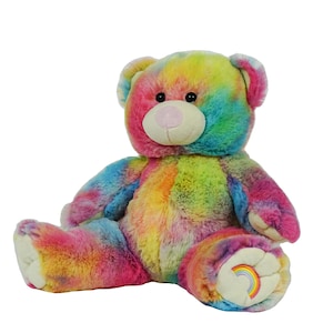 RECORDABLE RAINBOW TEDDY Stuffed Animal, 16&quot; Plushie, Ultrasound Plush, Memorial Bear, Military Deployment, Personalized,  Gift