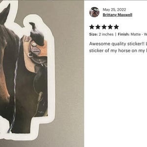 A sticker of a horse on a laptop, with a rating and comment from a user named Brittany Maxwell.