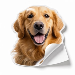 Custom Photo Sticker for Pets & People, Personalized Waterproof Vinyl Decal, Memorial Gift