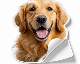 Photo Sticker for Pets & People - Waterproof, Personalized Vinyl Decal