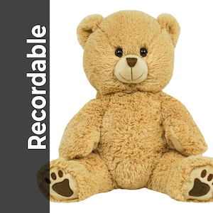 Recordable TAN TEDDY BEAR Stuffed Animal  —  Personalized Gift —  Eco Friendly