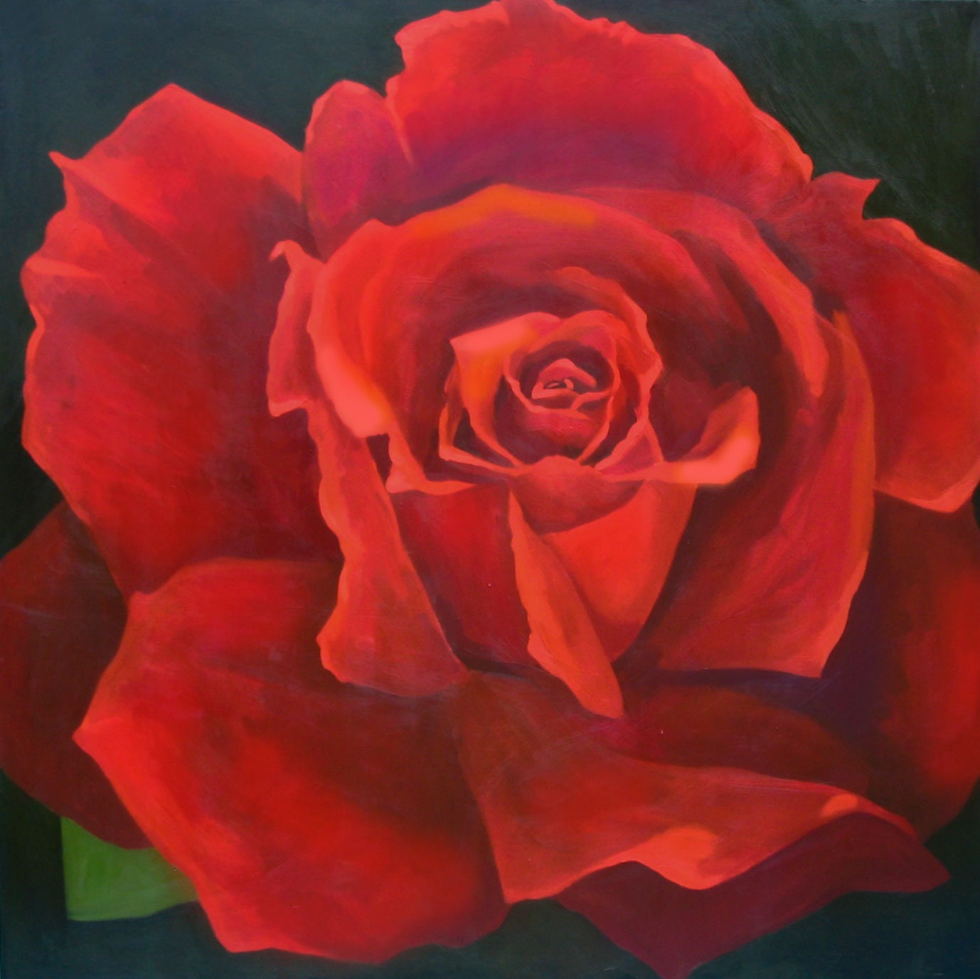 Red Rose, Large Flower - Fine Art Print From Painting - Etsy