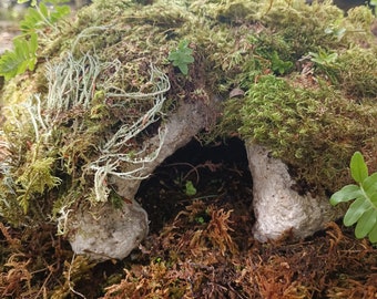 Haustierhöhlen mit Moos und Farnen für Terrarien / Terrarien aus Tuffstein.