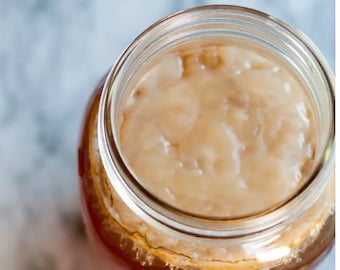 Kombucha Scoby probiotic drink, organic, raw, make your own !