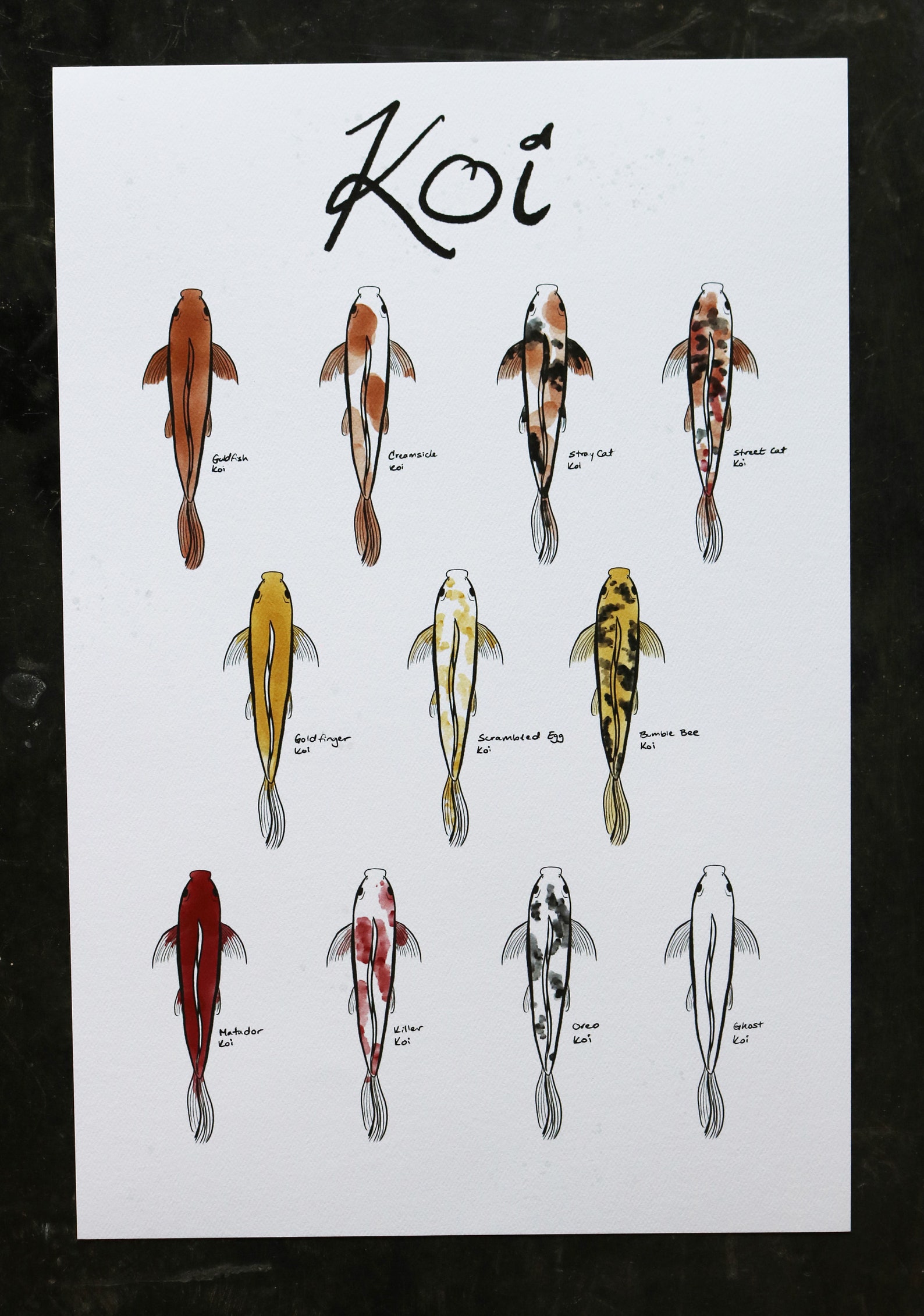 Koi Chart art print large poster Etsy