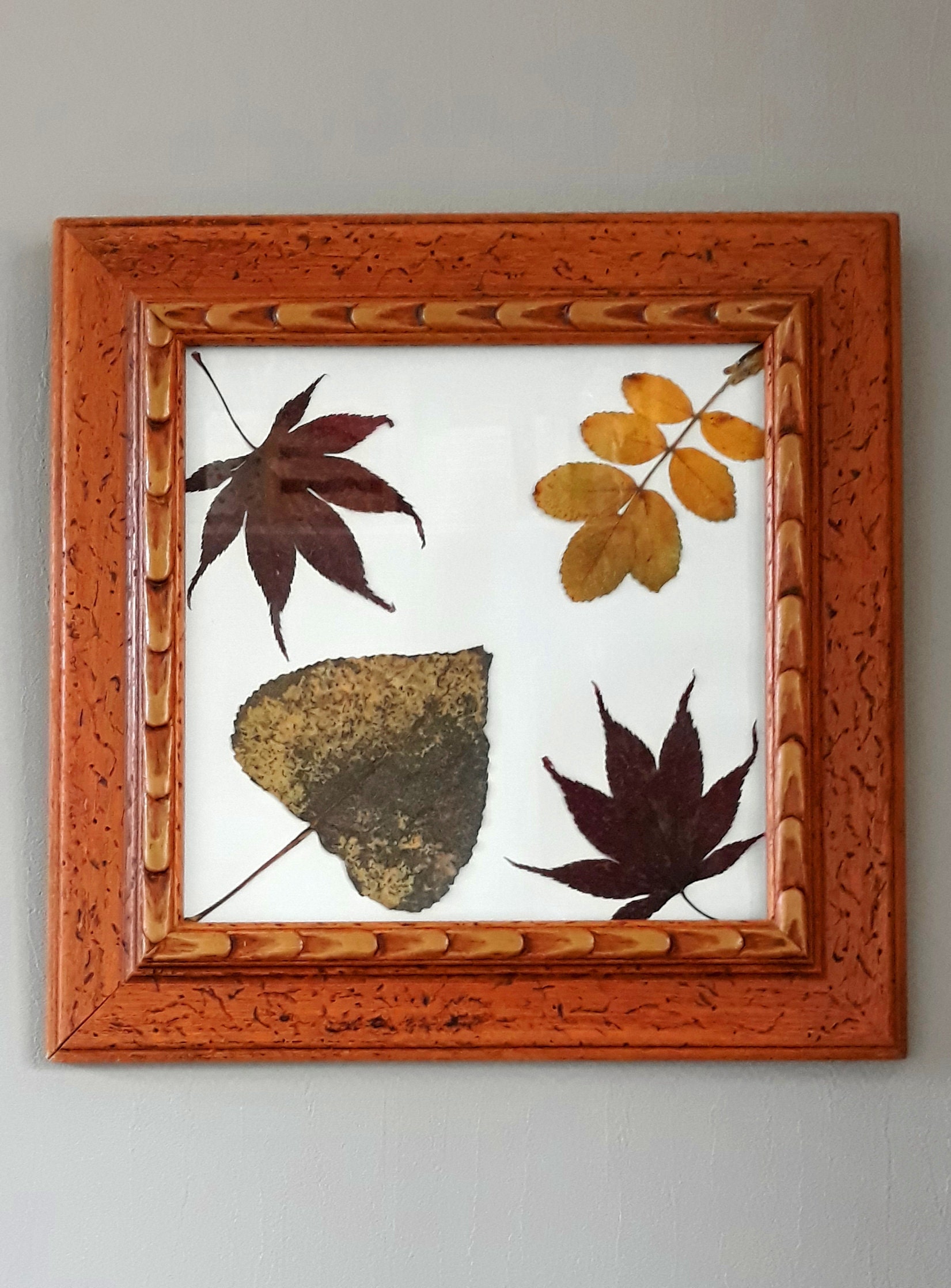 orivan ORIVAN 8x8 Picture Frame Wood Display Picture 4x4 with Mat