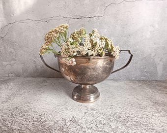 Grande vaso/portafiori vintage con due manici e supporto per fiori a forma di rana.