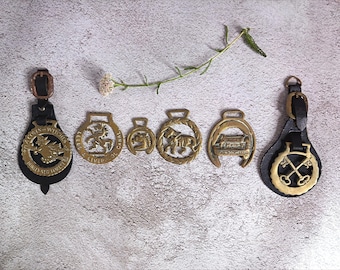 Selezione di 6 statuette vintage in ottone fuso raffiguranti cavalli.