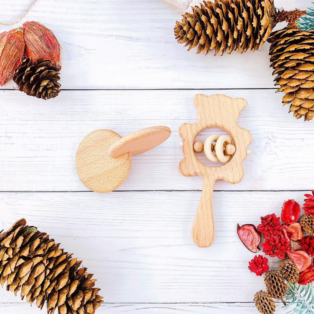 Montessori Interlocking Discs Montessori Development Toys Wooden ...
