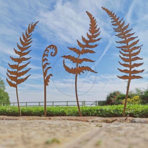May include: Four rust-coloured metal fern sculptures standing upright. Three of the ferns are fully unfurled with jagged, leaf-like edges, while one is a tightly coiled fiddlehead fern. The metal art pieces are arranged in a row outdoors.