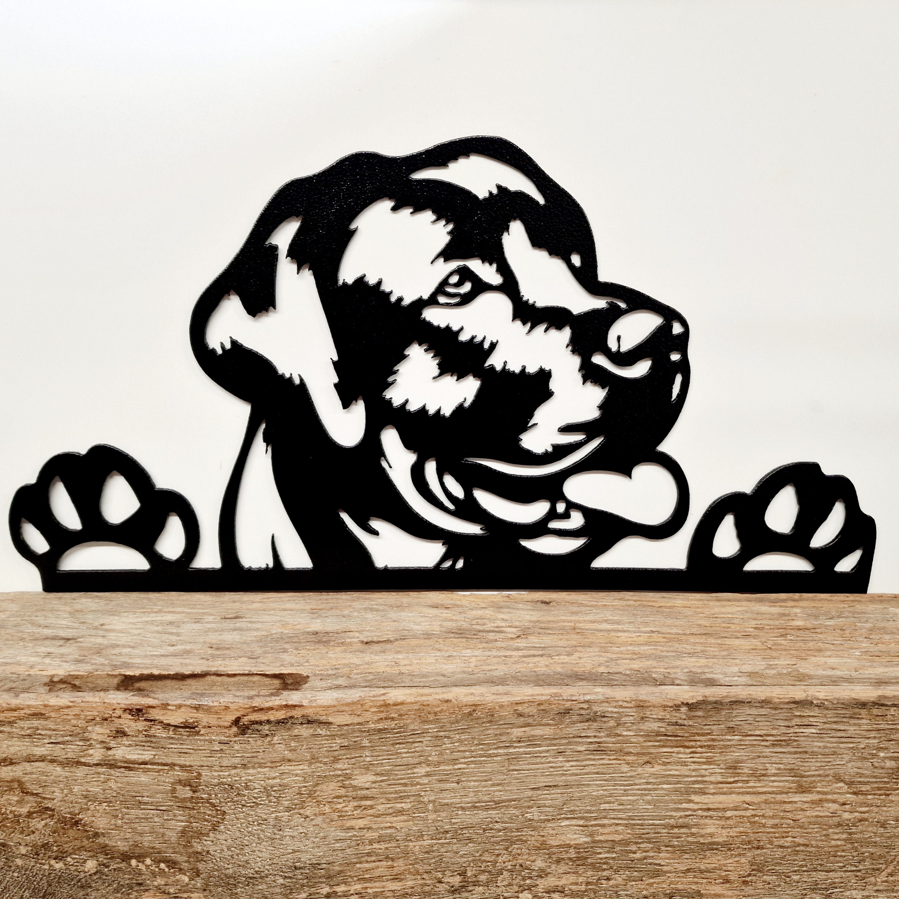 Medium Exterior Labrador Retriever Gun Dog Working Dog Andrex Puppy