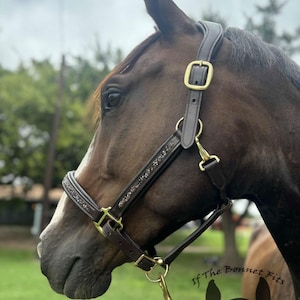 crystal horse halter