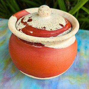 May include: A small, round, terracotta-colored ceramic pot with a lid. The lid is off-white with reddish-brown accents and a small, round knob. The rim of the pot and lid are off-white. The pot sits on a colorful, abstract surface.