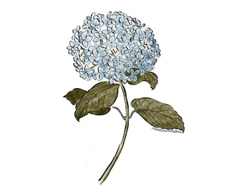 Hydrangea Watercolor Art Print | 5x7 Blue Hydrangea Print | Blue Hydrangea Print | Blue Hydrangea Artwork | Watercolor Hydrangea Wall Art