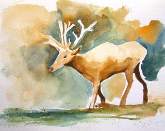 Wild deer print of original watercolor painting, wildlife art print