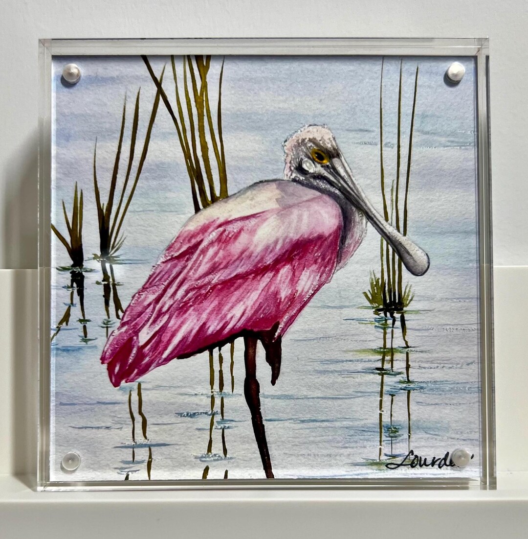 Roseate Spoonbill Artwork on Acrylic Block Tabletop Art, Watercolor ...
