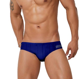 Blue Black Striped MEN'S Low Rise Swim Brief / Men's Swimsuit