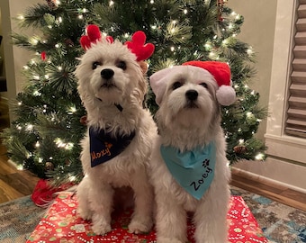 Bandana para perros personalizada, Bandana bordada para perros, Bandana para perros con cuello deslizable, Bufanda para perros, Bandana con nombre para perros, Bandana para perros personalizada, Bandanas