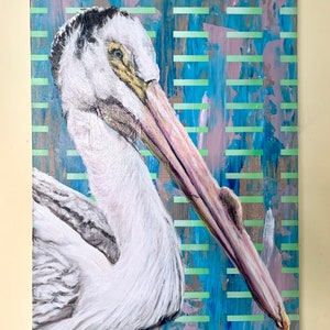 Glaring Pelican image 7