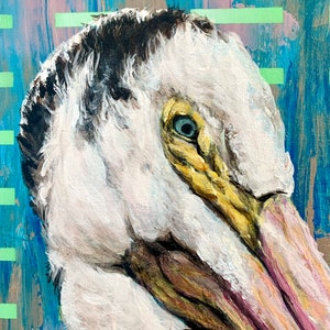 Glaring Pelican image 3