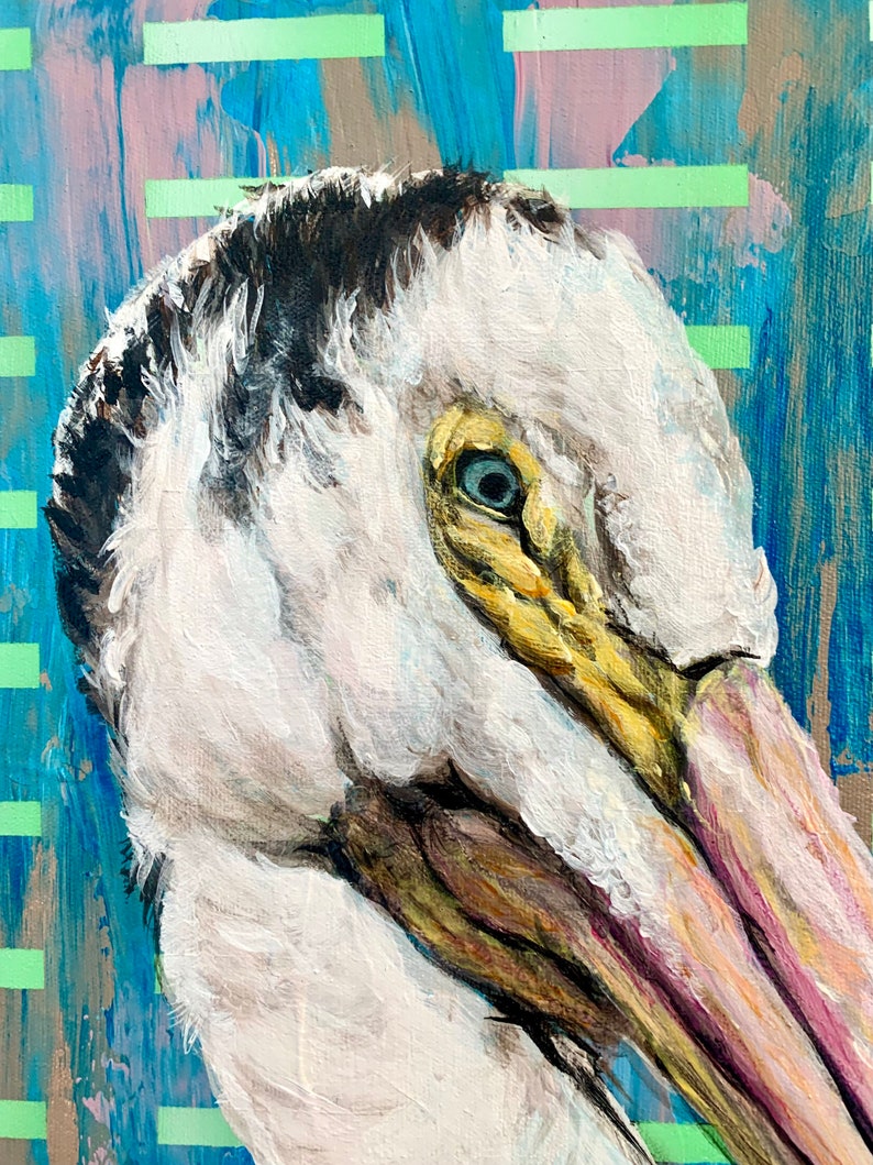 Glaring Pelican image 3