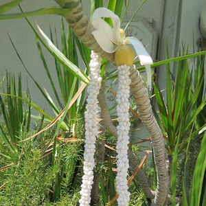 Hawaiian Wedding / Graduation Mini Shell Lei Hula Jewelry Necklace