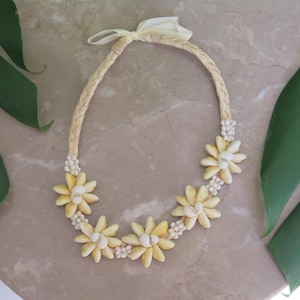 Hawaiian Jewelry Yellow Sigay (Cowry) Shell w/ White Mongo Raffia Necklace