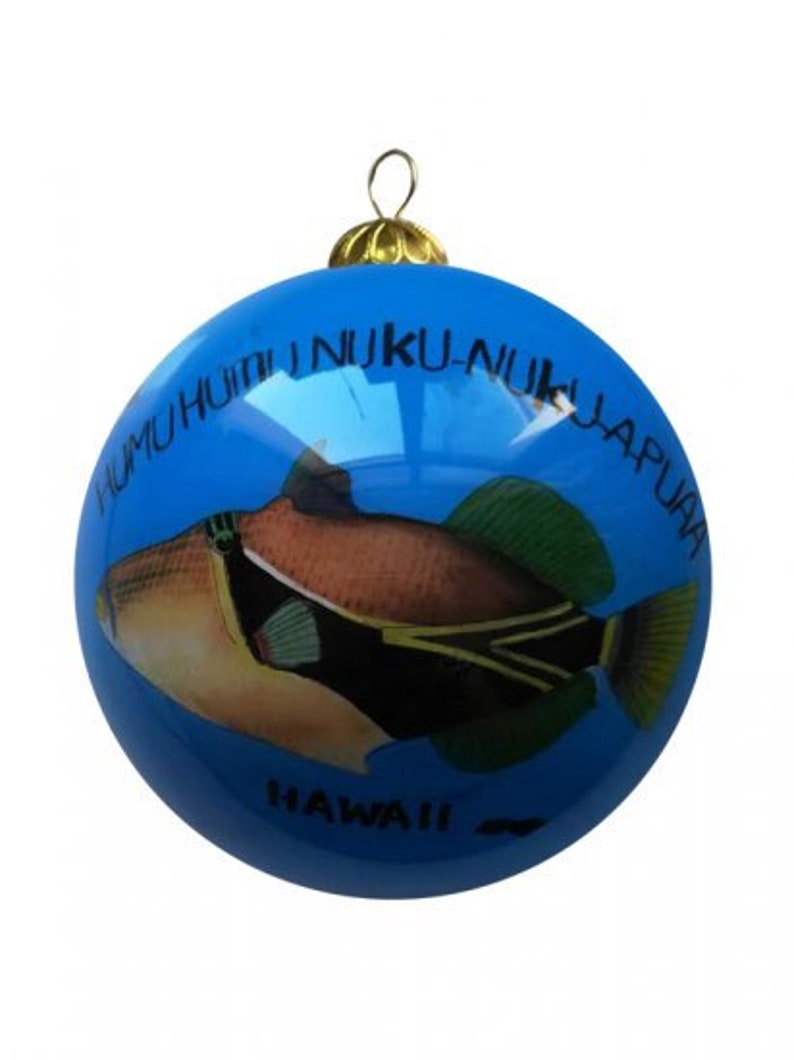 Hand painted hawaii state fish humuhumunukunukuapua a etsy