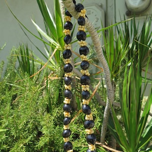 Puede incluir: Un collar de semillas negro y amarillo colgado de una planta verde.