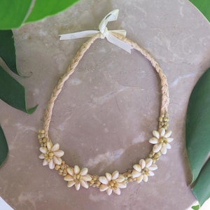 Hawaiian Jewelry Green Sigay (Cowry) Shell w/ Green Mongo Raffia Necklace