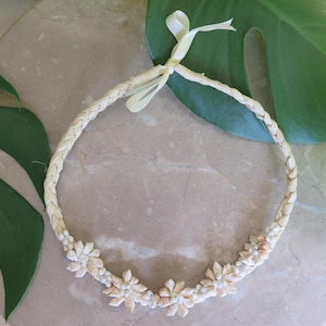 Hawaiian Jewelry Frog Shell w/ White Mongo Shell Raffia Necklace