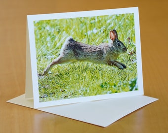 Leaping Rabbit Card