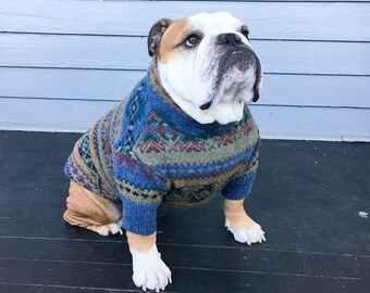 bulldog shark costume