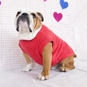 Pull bouledogue anglais v tements manches longues avec ouverture